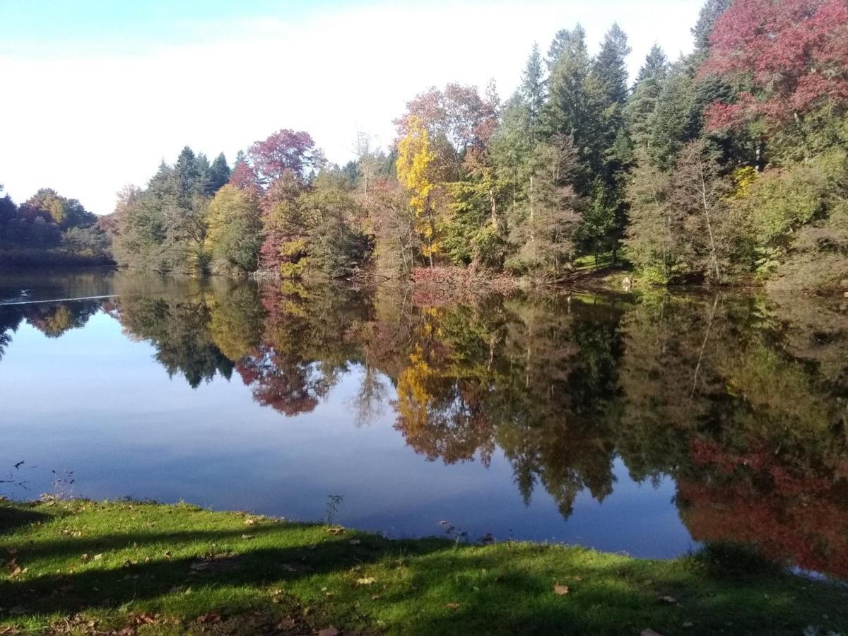 Gite De L'Arboretum Dompierre-les-Ormes Esterno foto
